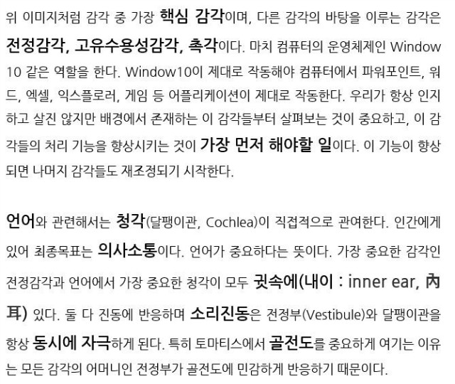 토마티스2.jpg