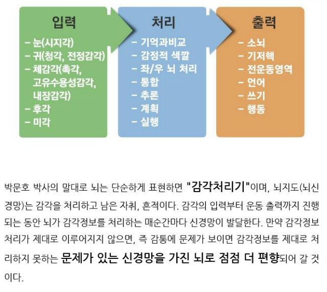 토마티스3.jpg