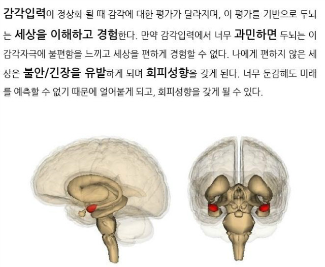토마티스4.jpg