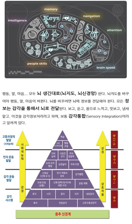 토마티스1.jpg